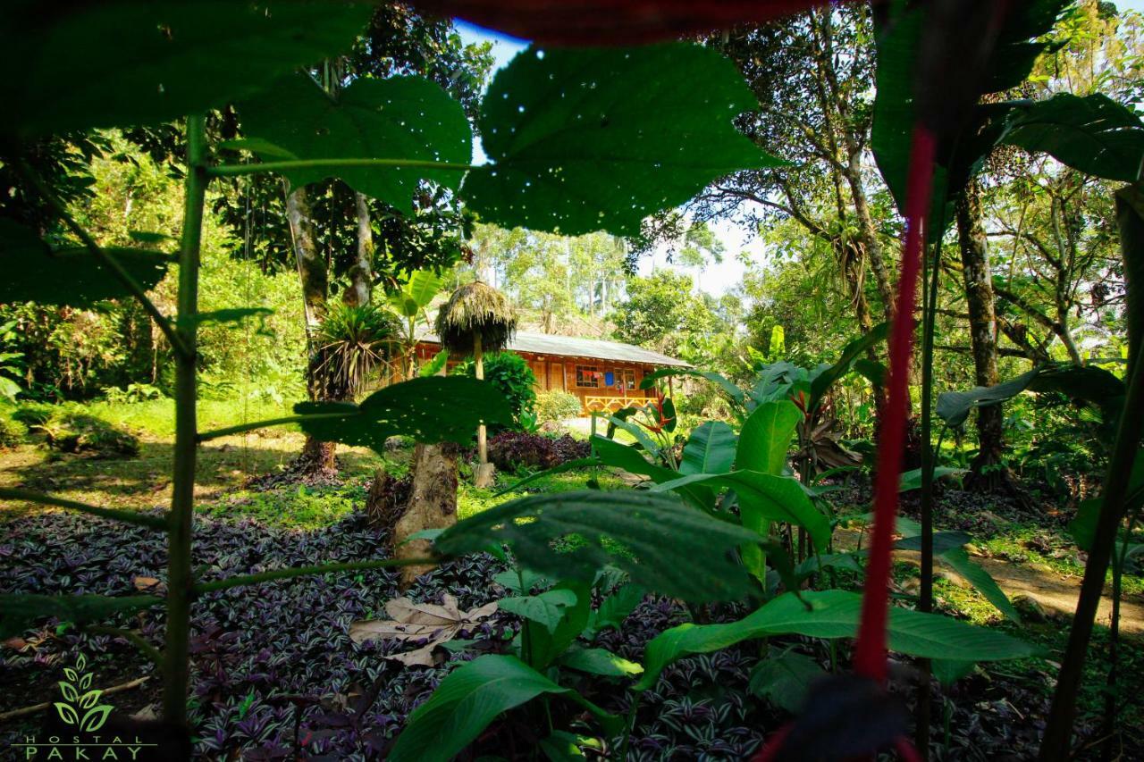 Hostal Pakay تينا المظهر الخارجي الصورة